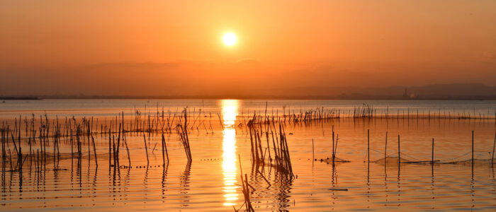 albufera de valencia parque natural de la albufera de valencia