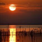 Parque Natural de la Albufera de Valencia