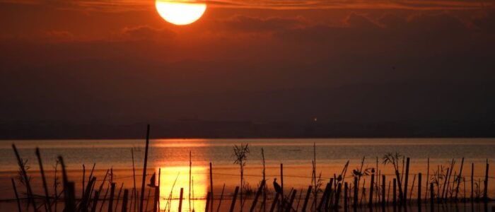 albufera valencia atardecer en la albufera