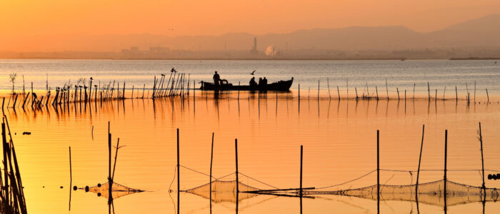 paseo en barca albufera pasar un día en la albufera