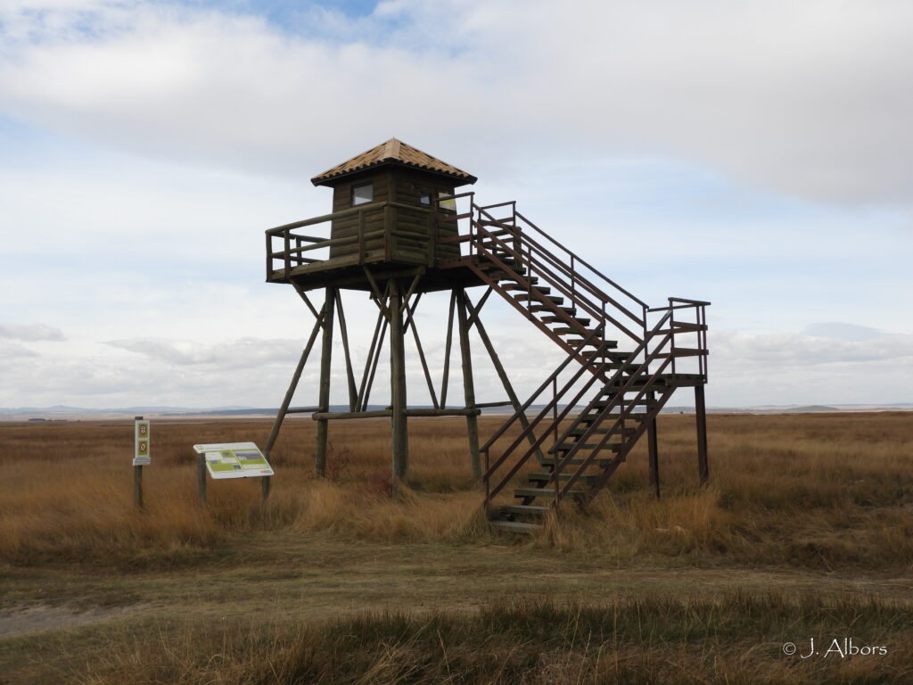 observatorio grullas
